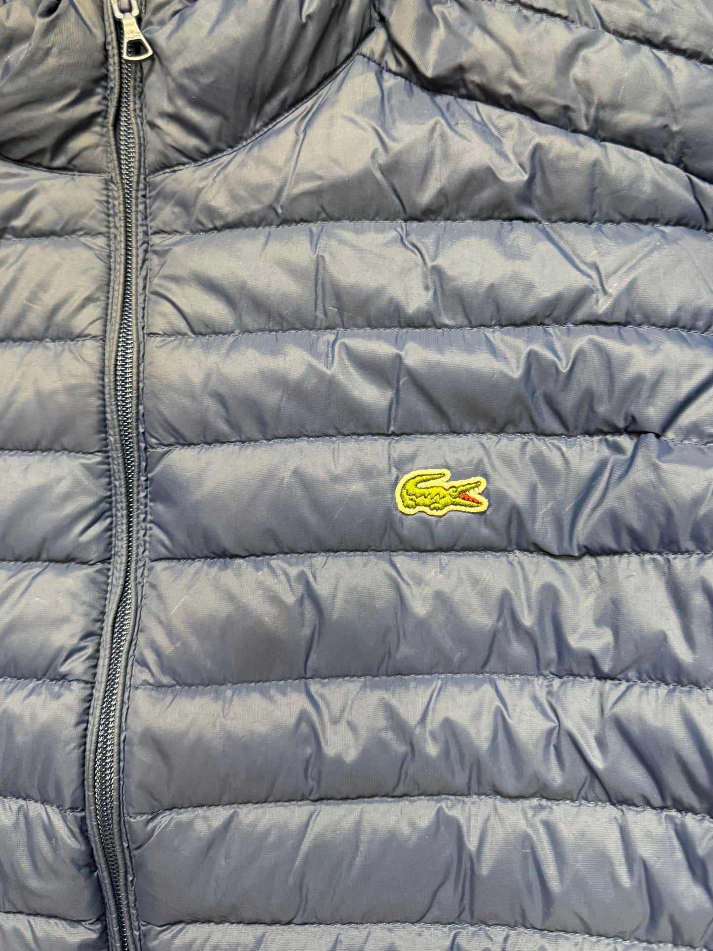 Lacoste Steppjacke | L