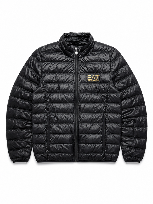 EA7 Steppjacke | M